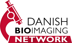 DBI Logo