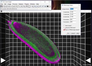 For All You Fiji Imagej Users There Is A New 3d Viewer