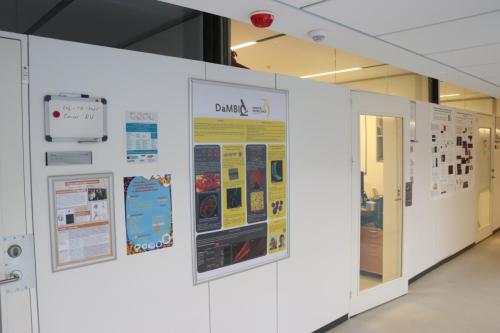 Python workshop at the University of Southern Denmark. January 2025.
