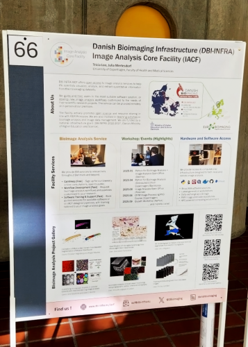 DBI INFRA IACF Poster presented at the European Chemokine and Cell Migration Conference 2025 at Panum, University of Copenhagen.