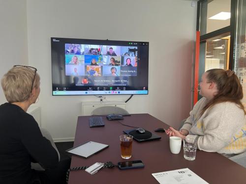 First virtual meeting with the Molecular 2 Human (M2H) participants. January 2025.